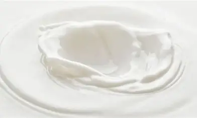 Ingrédients Fonctionnels