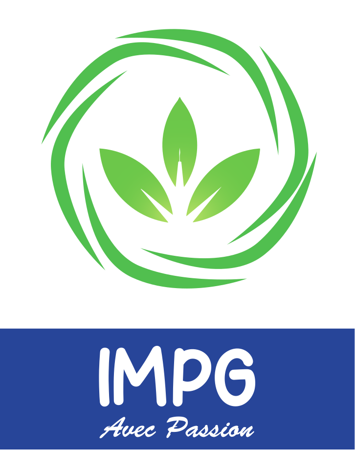 IMPG Logo